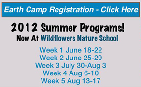 EARTH CAMP at WildflowerKids Nature School
